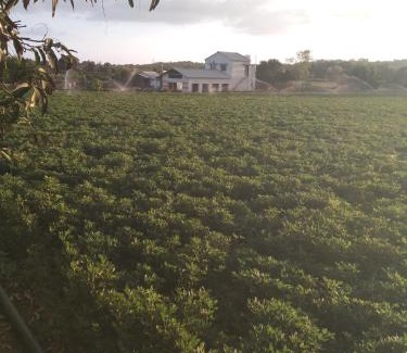 Haripur Hotel | Jay jalaram farm and risort