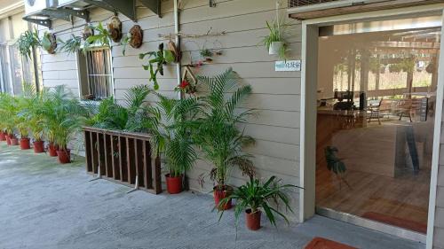 Lugu House | Jia's Homestay