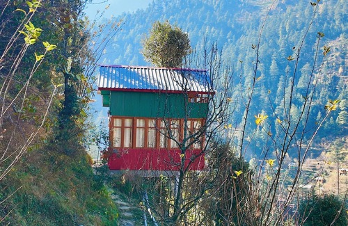 Jibhi Cottage | Jibhi Bliss Treehouse Cottage