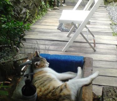 Ruifang Bed & Breakfast | Jiufen Aromatherapy B&B