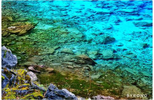 Jiuzhaigou Apartment | Jiuzhaigou Bijia Boutique B&B - Bi's Joyful Haven