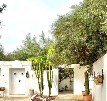 Hammamet Apartment | Jolie Villa Cosy Proche de la Plage