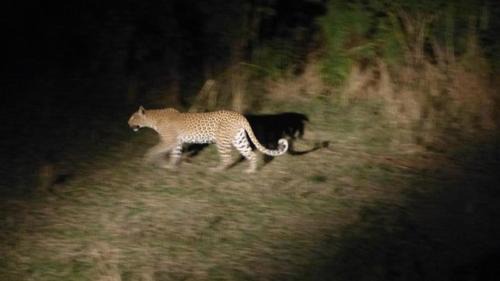 Devrukh House | Jungle home stay