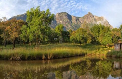 Masinagudi Resort | Jungle Hut Resort