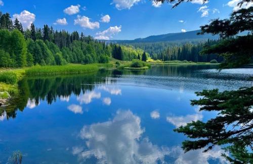 Vallecito Resort | JW Vallecito