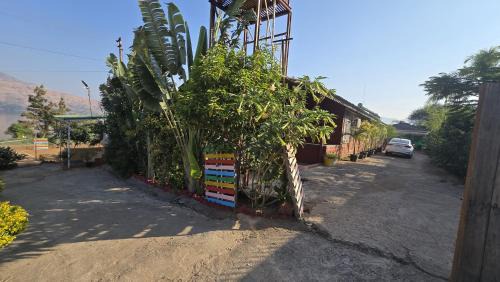 Wai House | Kabir Farms