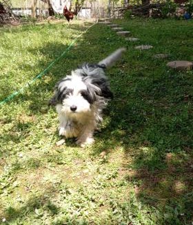 Kocasinan Bed & Breakfast | KALE-İBALA PALAM OTEL Cafe