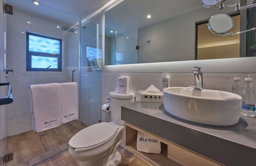 Cuauhtemoc Hotel | KALI La Raza Mexico City