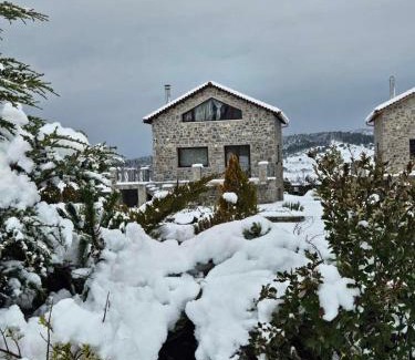 Kato Pedina Villa | Kallisto villas