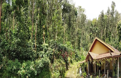 Samse House | Kambada Mane Homestay by StayApart