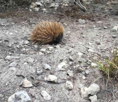 Newland House | Kangaroo Island Supashak
