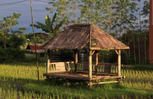 Batukliang Bed & Breakfast | Kangkung House Bujak