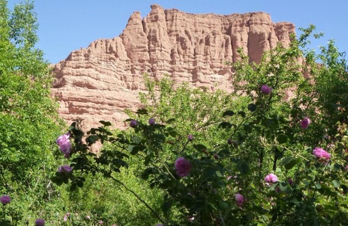 Bou Tharar Hotel | Kasbah Tinariwin