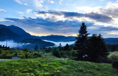 Potamia Ski Chalet | Katafygio Chalet, Krikello