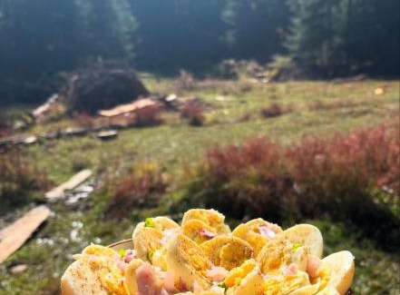 Shangarh House | Kath Kuni Cafe & Stay Shangarh