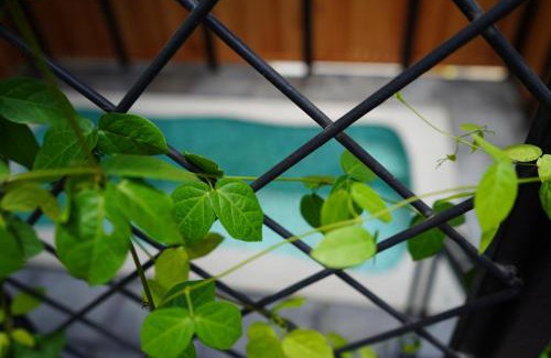 Kunchithanny House | Kayyath Munnar - Luxury 4BHK Hillside Sanctuary