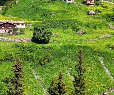 Caykara House | Keleş Dag Evi