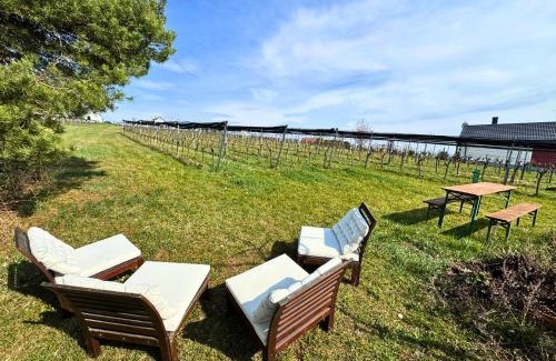 Eisenberg an der Pinka House | Kellerstöckl - Zur Weinrebe