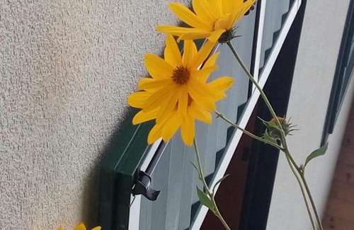 Eberau House | Kellerstöckl am Liendlberg