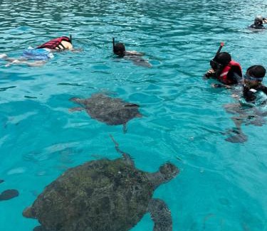 Merang Resort | Kembara Resort, Merang