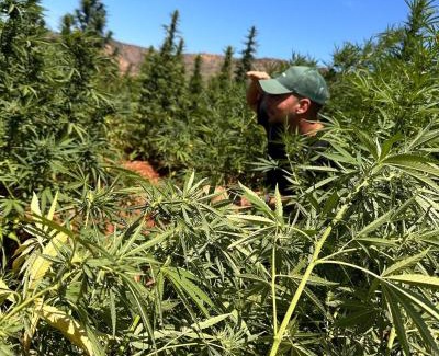 Ketama Apartment | Ketama rif