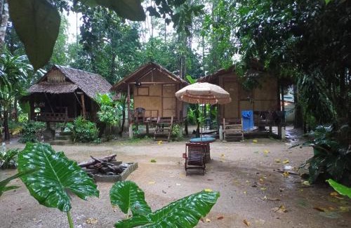 Khlong Sok Other | Khai jungle wassanacamp