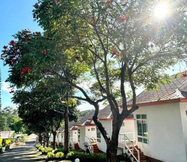 Thung Samo Resort | Khao Kho Wanwarn