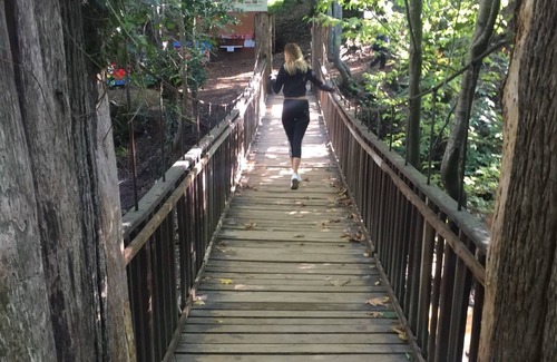 Cinarcik RV Rental | Kirkahvesi Garden - Campsite