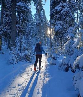Arriach Ski Chalet | Klösterle Haus Resi