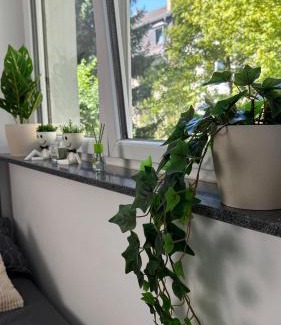 Leipziger Straße Apartment | Klein und feines City Apartment