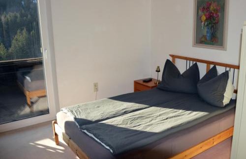 Koppl Apartment | Kleine einfache Ferienwohnung in malerischer Umgebung Salzburgs