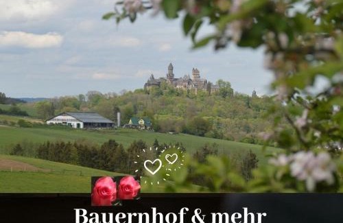 Braunfels Apartment | Kleine einzigartige Ferienwohnung auf dem Bauernhof, direkt in der Natur mit Blick auf Schloss Braunfels