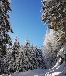 Wolfsberg House | Knusperhäuschen Maria Nikoletta