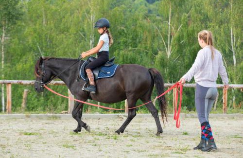 Krzyzowka Apartment | Końska Dolina