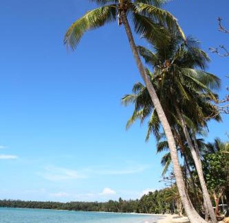 Ko Mak Resort | Koh Mak Resort