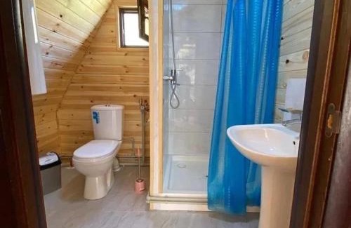 Almaty Province House | Kolsay Village