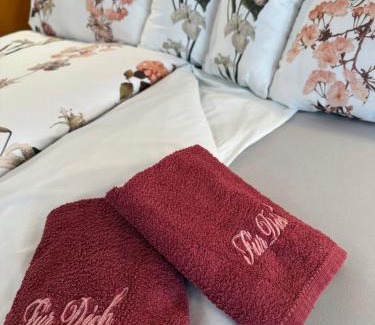 Trieben Apartment | Komfortzimmer