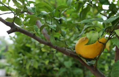 Liman Mahallesi Apartment | Konyaaltı - Liman - Antalya - Lüks ve Huzurlu Sitede Güzel Bir Daire