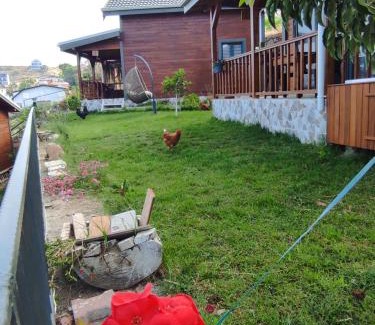 Gazipasa Villa | Koruwoodenhouse Alanya Gazipaşa