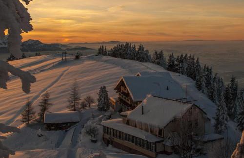 Rigi Kaltbad Hotel | Kräuterhotel Edelweiss