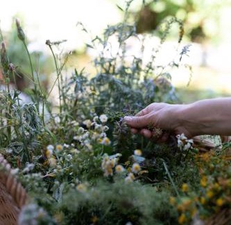 Nohra Hotel | Kräuterhotel Garni Zur Klostergrotte