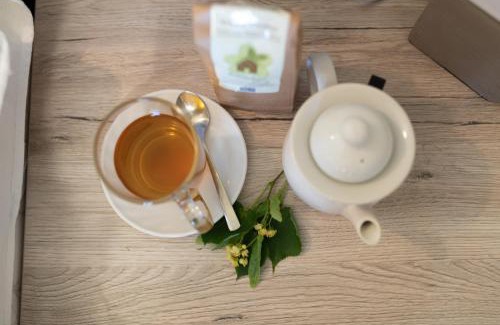 Nohra Hotel | Kräuterhotel Garni Zur Klostergrotte