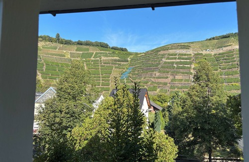 Ahrweiler Apartment | Kräuterberg vacation apartment, modern attic apartment with vineyard view in the Ahr valley