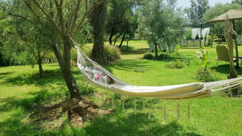 Tamazouzte House | Ksar Salha