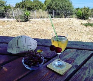 Skala Sykamineas House | Ktima Kiourelioti