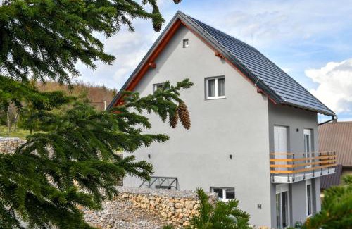 Ravna Gora House | Kuća za odmor Bubamara