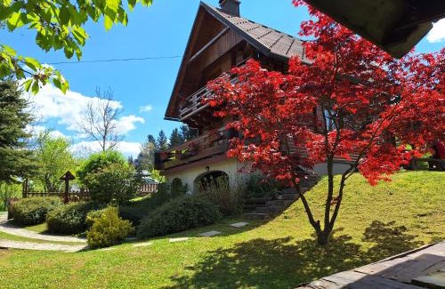 Benkovac Fuzinski Ski Chalet | Kuća za odmor Family Fužine