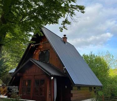 Zlobin Ski Chalet | Kuća za odmor "Med Strmci"