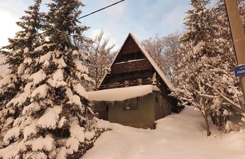 Platak Ski Chalet | Kuća za odmor Platak
