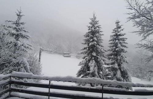 Platak Ski Chalet | Kuća za odmor Platak